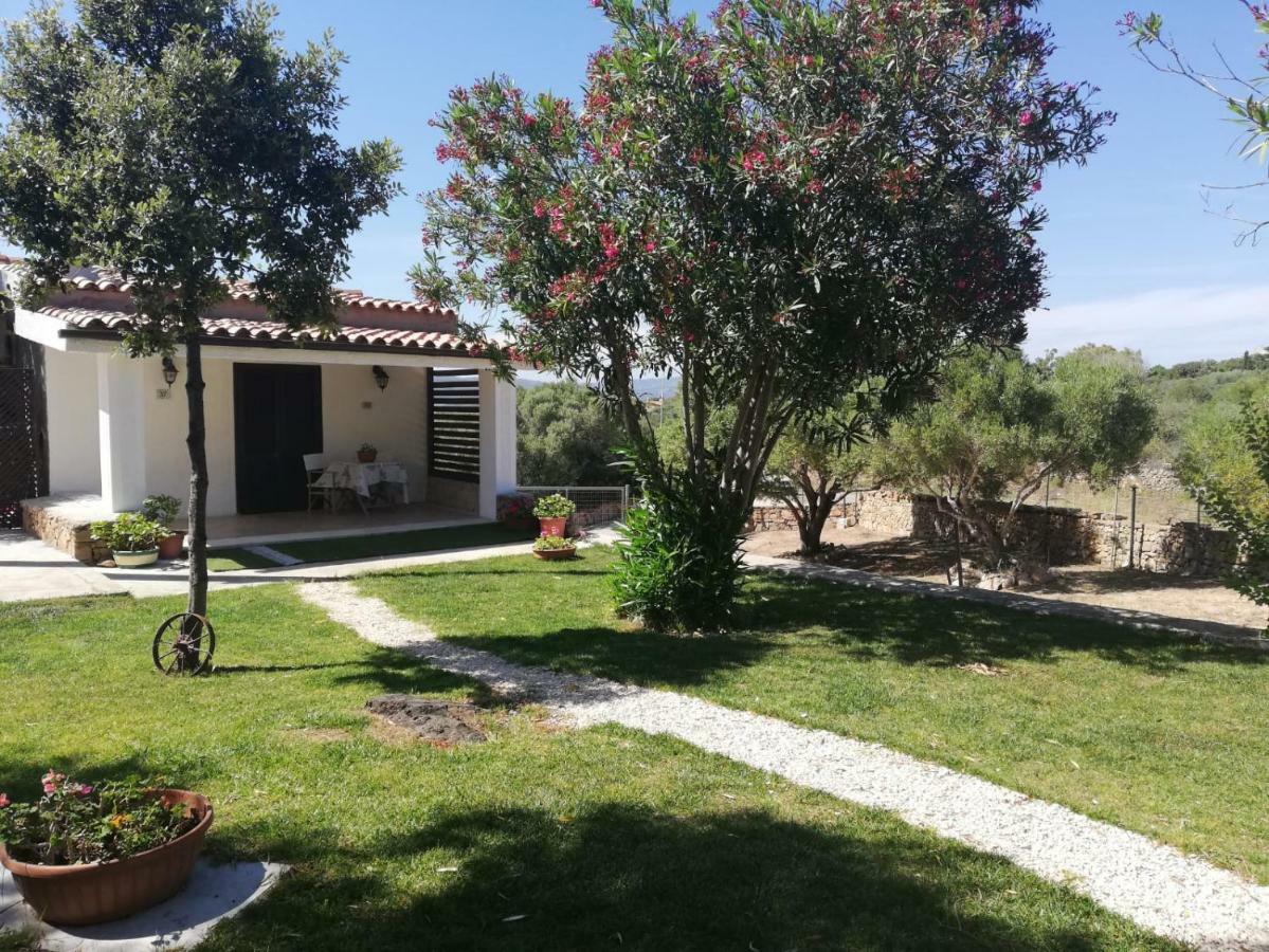Bed & Breakfast Su Terrabinu *